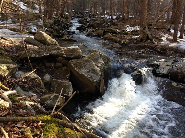 Lot 17 East River Road Huntington, MA 01050 - Photo 1 of 6 Gallery Image 1