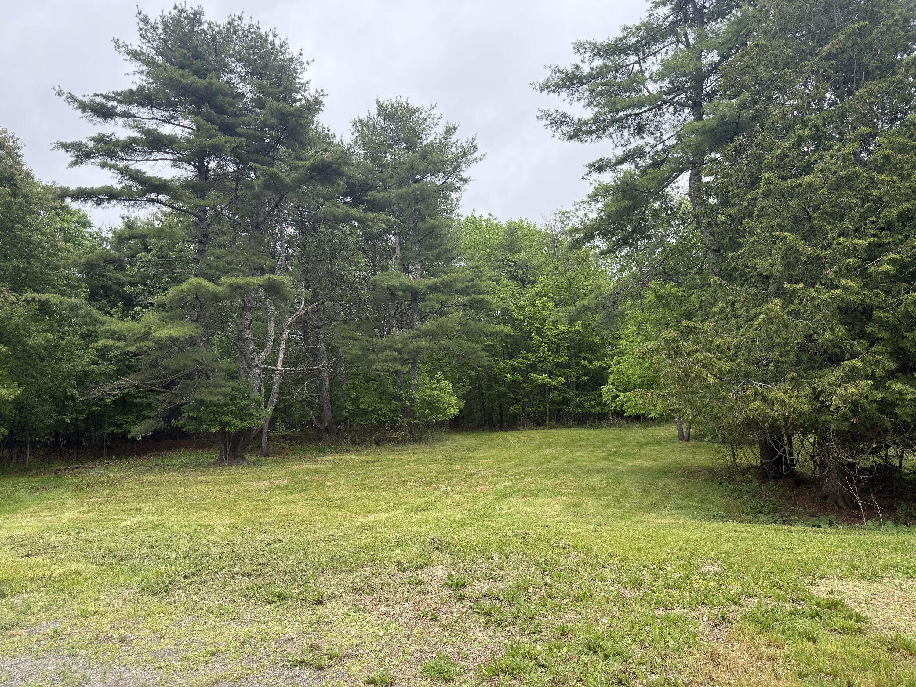537 Millvale Road Bucksport, ME 04416 - Photo 53 of 58 Backyard