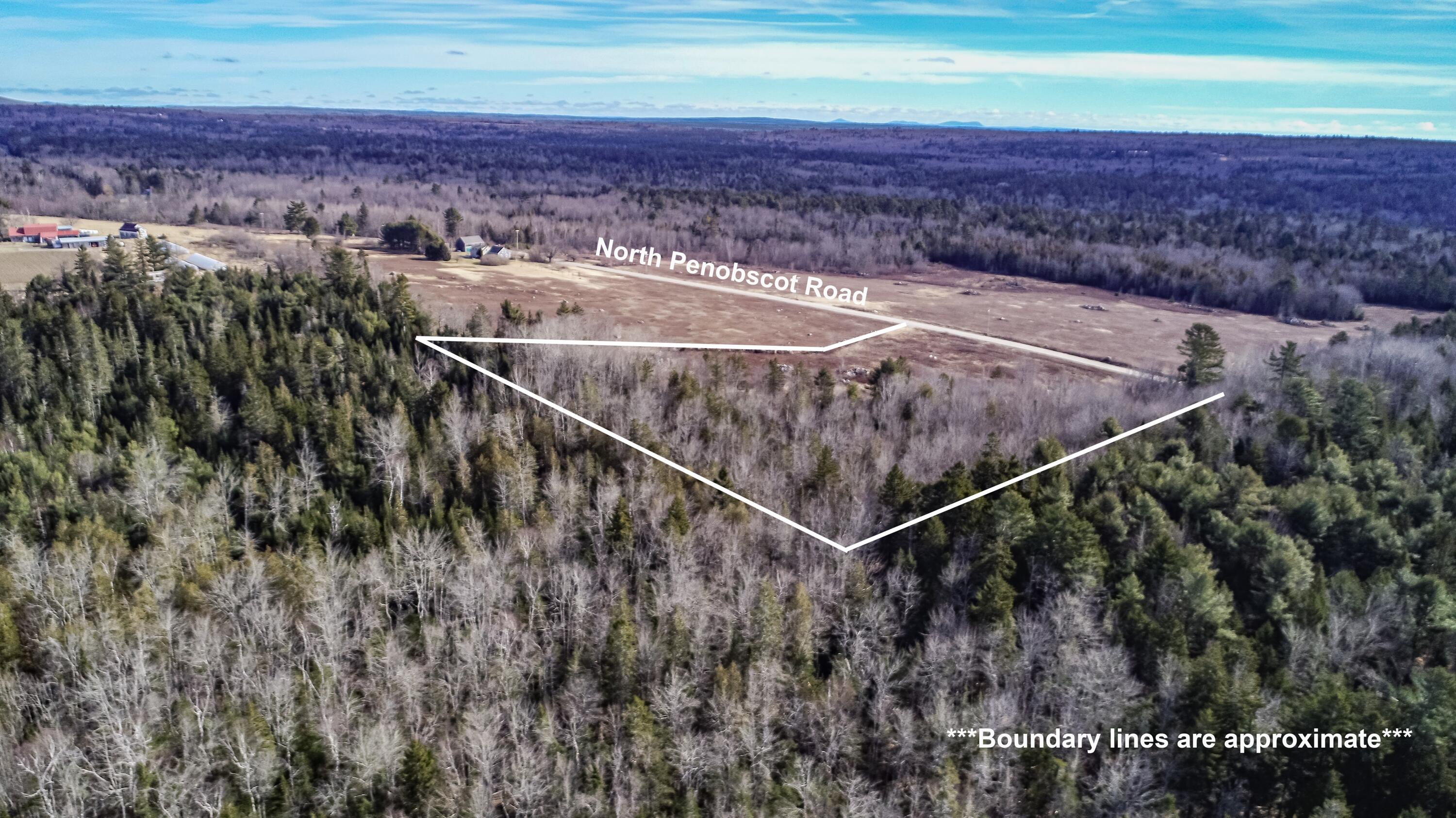 199 Rd Penobscot Me 04476 Road Penobscot, ME 04476 - Photo 6 of 8 Land Penobscot Patten Aerials-4