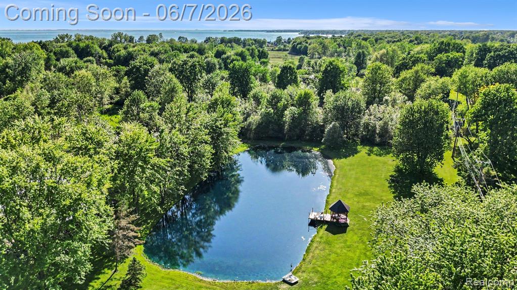 7020 Meldrum Road Fair Haven, MI 48023 - Photo 5 of 43