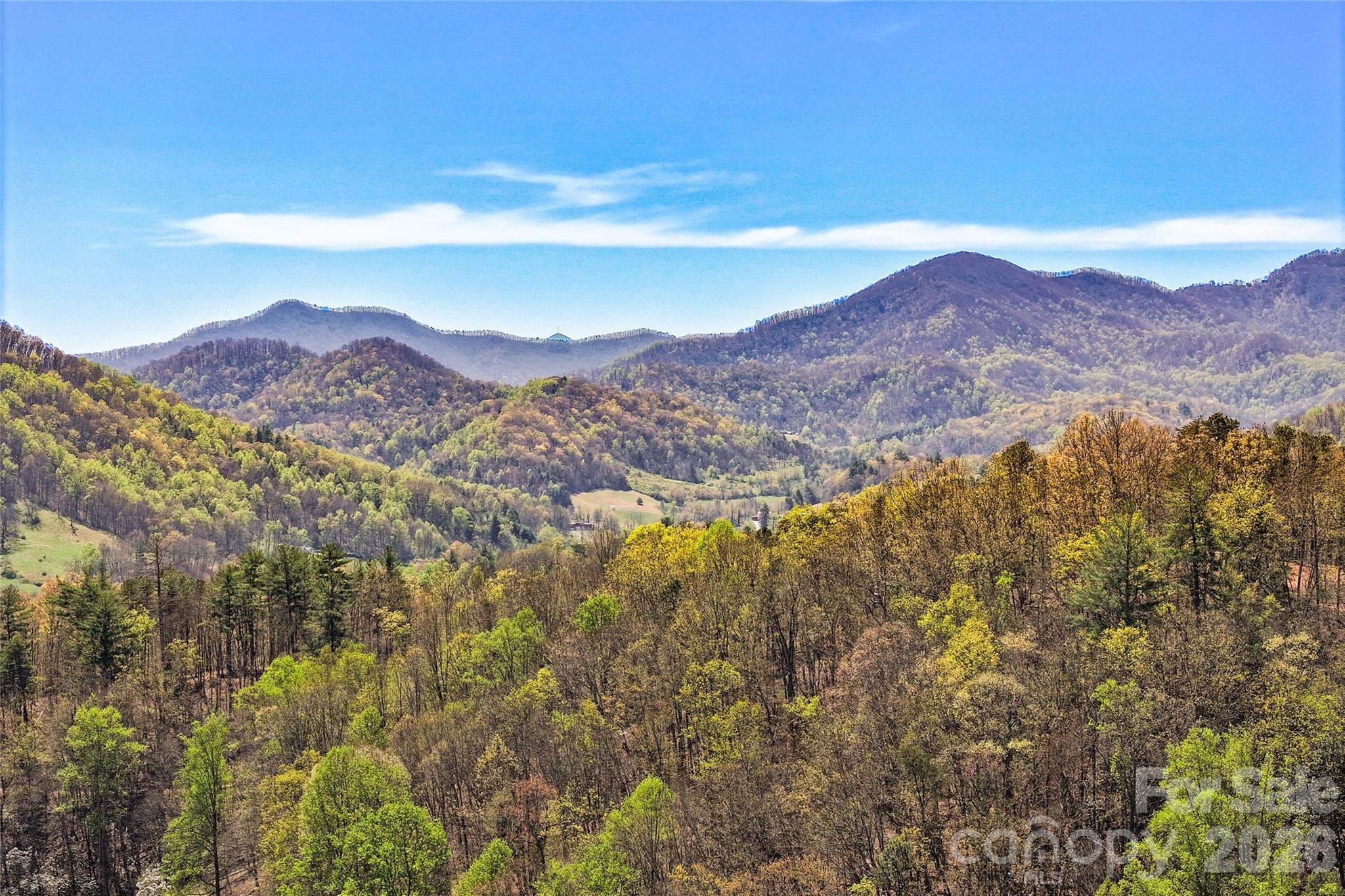 151 Kerr Road Leicester, NC 28748 - Photo 11 of 48