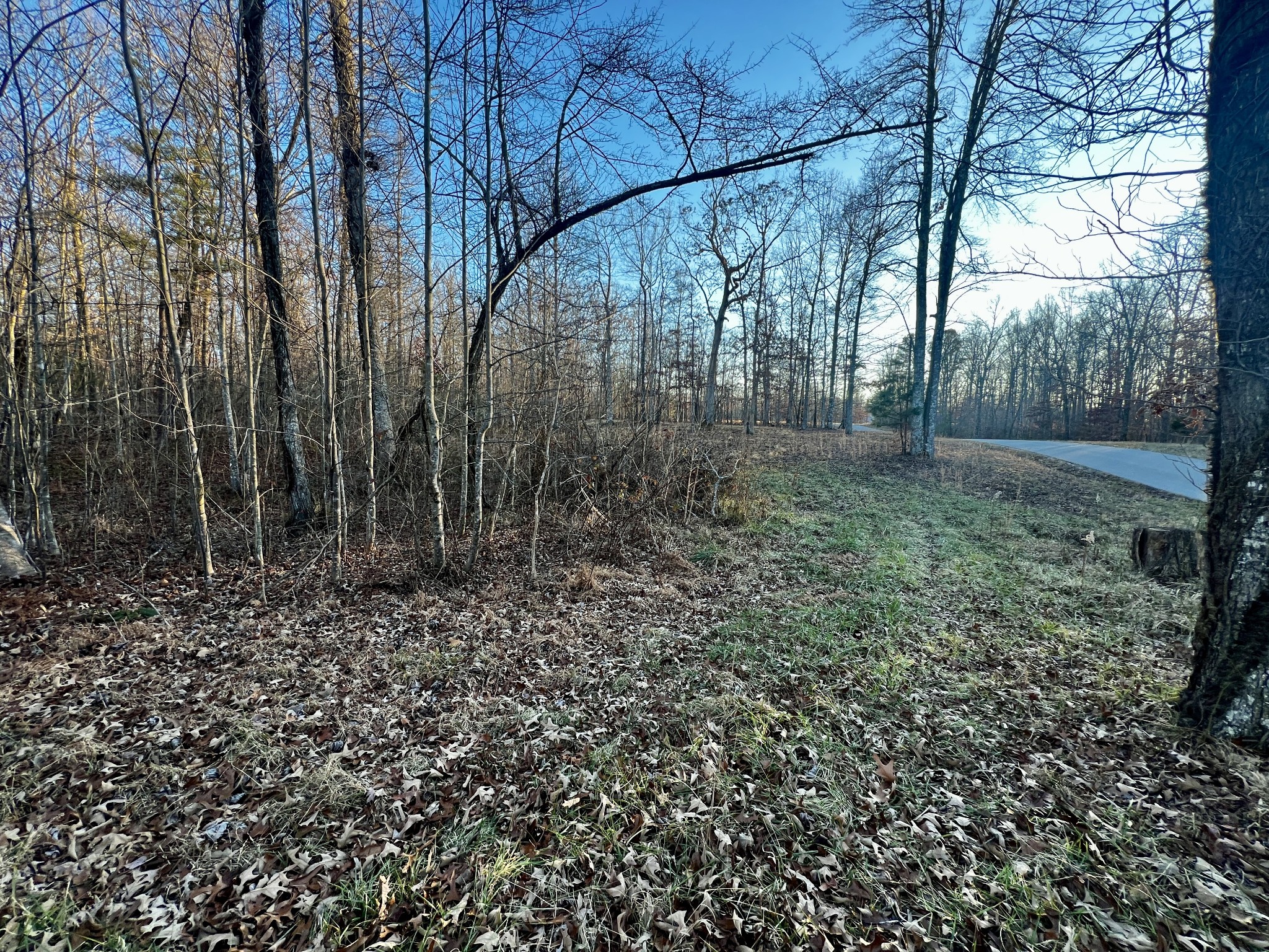 1002 Hargis Road Grimsley, TN 38565 - Photo 17 of 29 Gallery Image 17