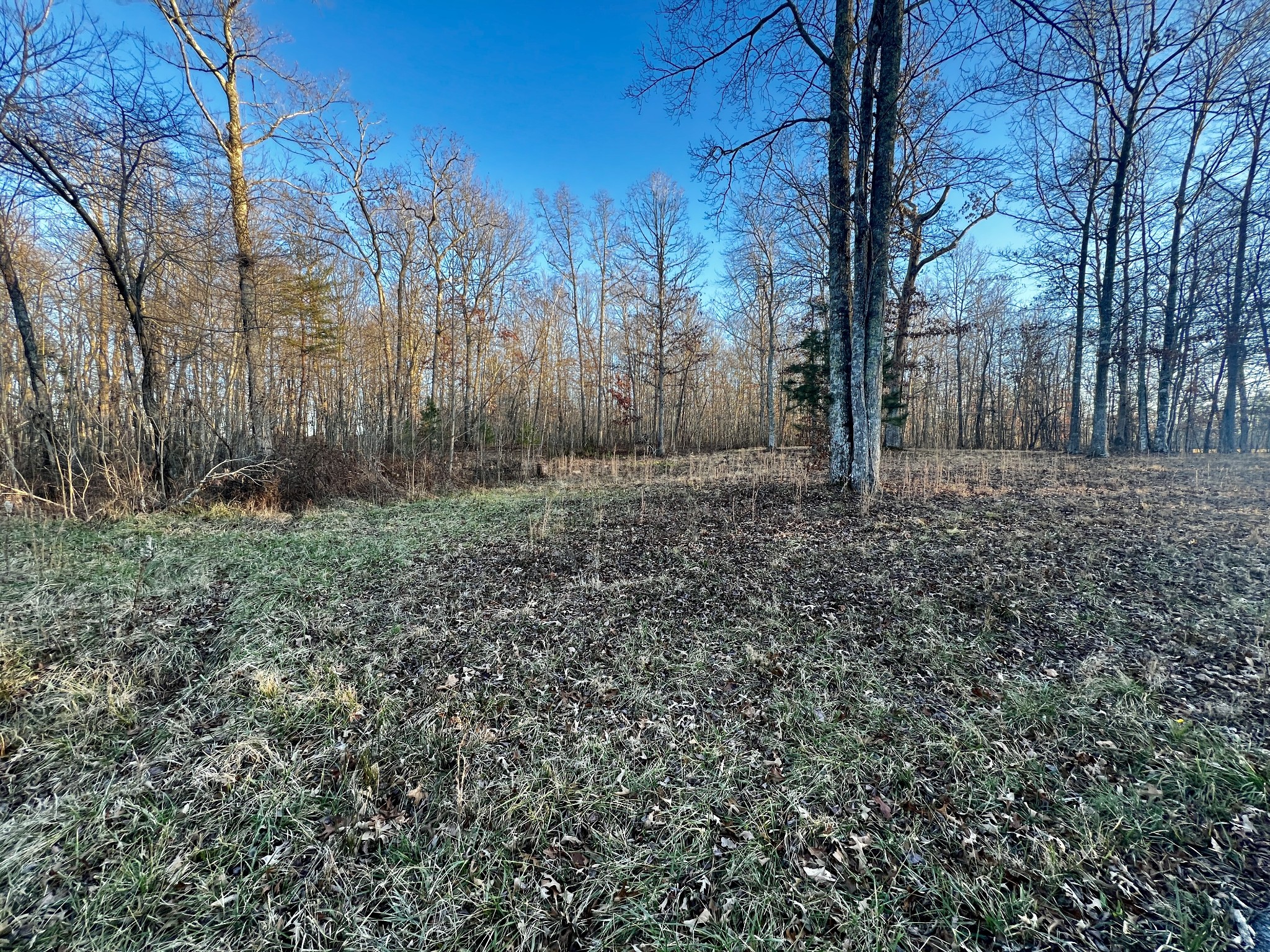 1002 Hargis Road Grimsley, TN 38565 - Photo 18 of 29 Gallery Image 18