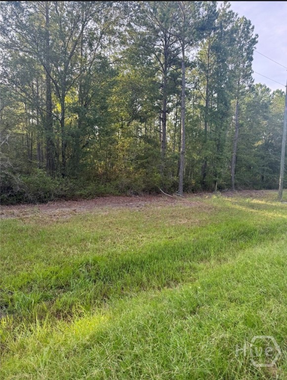 0 Brogdon Road Guyton, GA 31312 - Photo 7 of 11 Gallery Image 7