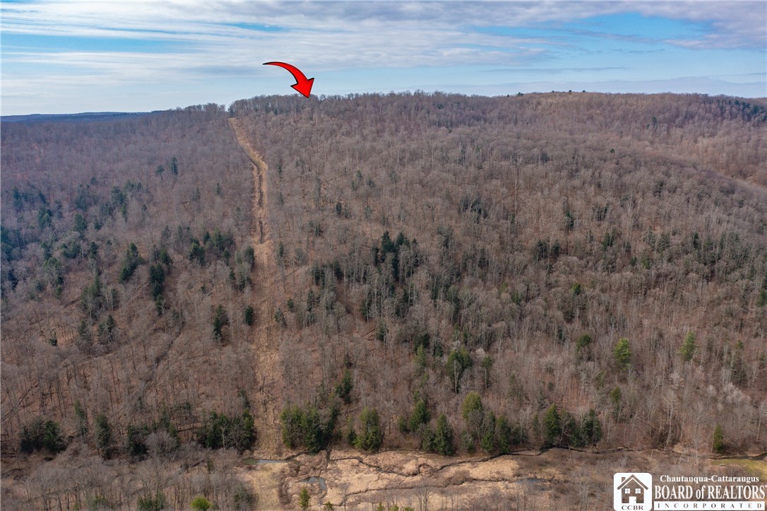 0 Oak Hill Road Frewsburg, NY 14738 - Photo 2 of 6