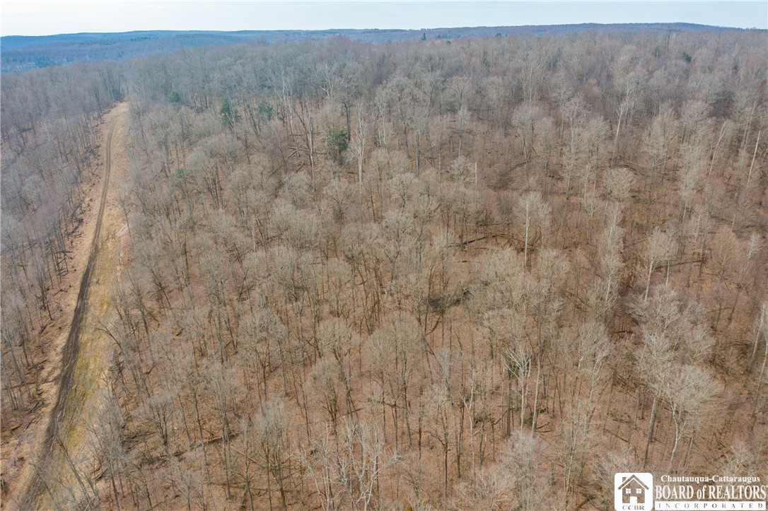 0 Oak Hill Road Frewsburg, NY 14738 - Photo 3 of 6