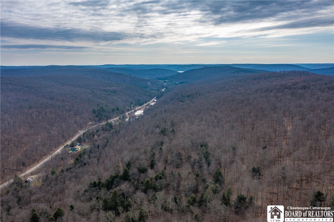 0 Oak Hill Road Frewsburg, NY 14738 - Photo 4 of 6