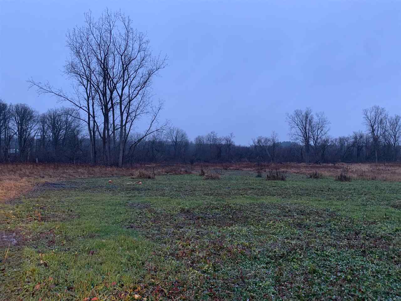 0 Britton Road Morrice, MI 48857 - Photo 1 of 9