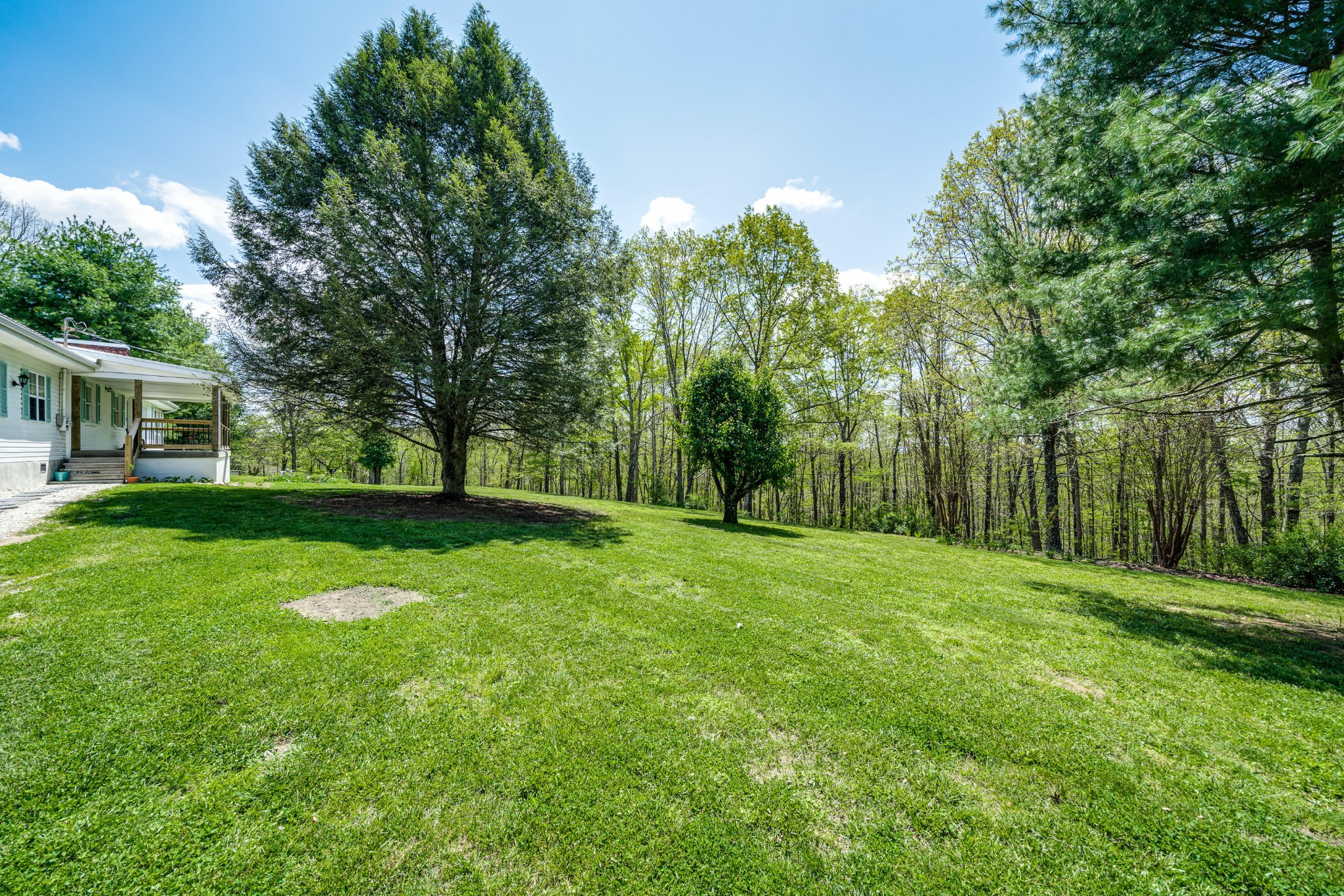 144 Meister Hills Road Deer Lodge, TN 37726 - Photo 26 of 40 a view of a grassy field with trees in the background