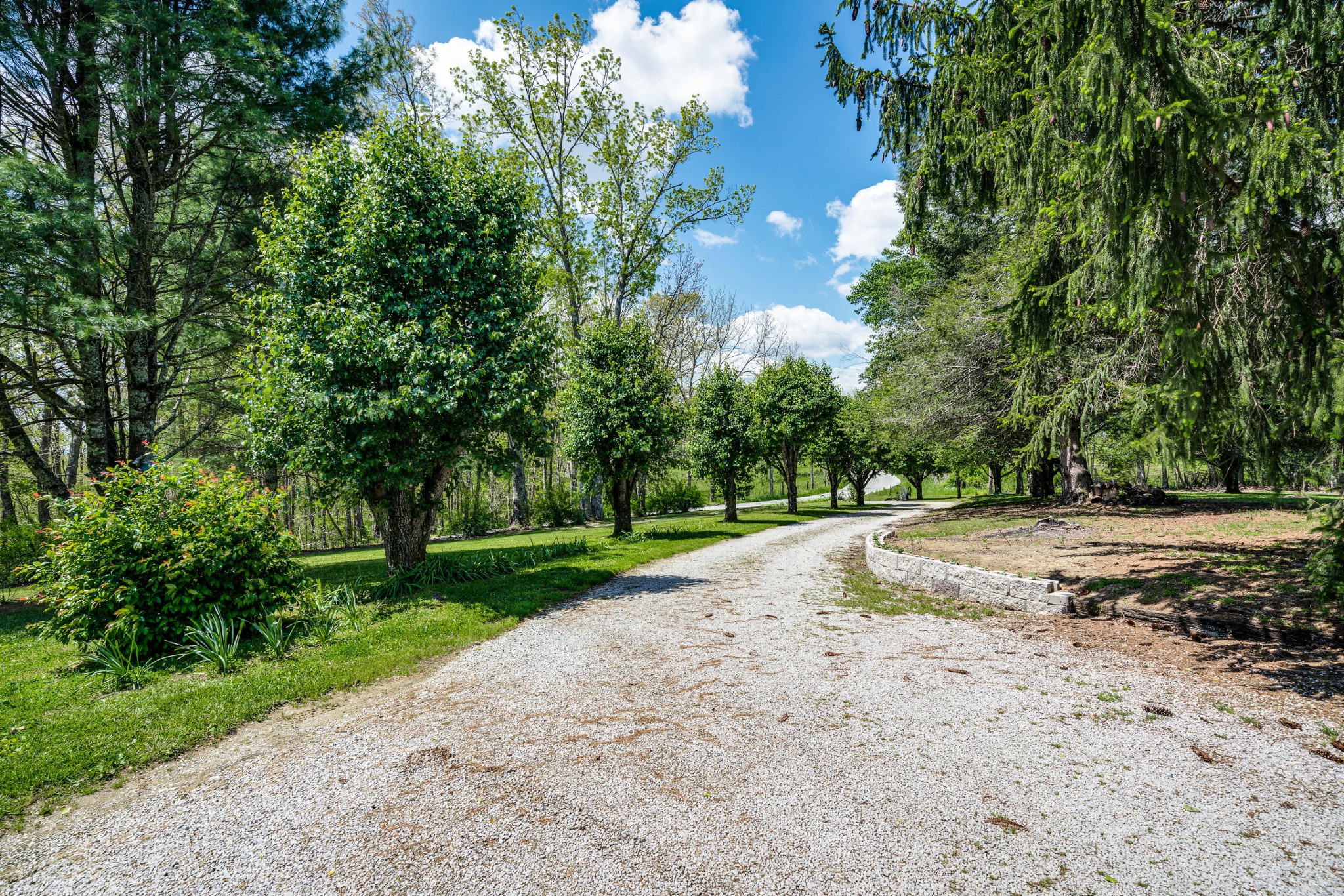 144 Meister Hills Road Deer Lodge, TN 37726 - Photo 30 of 40 a view of a yard with plants and trees