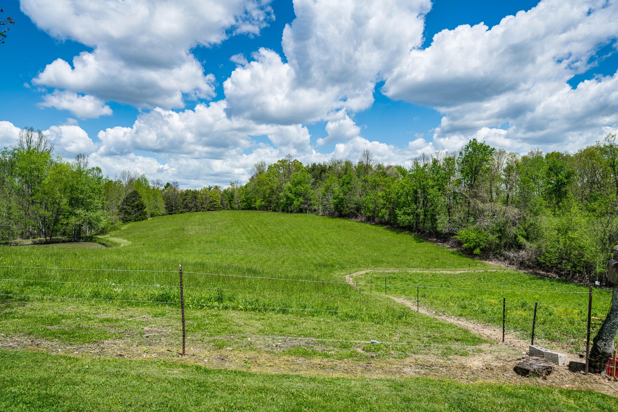 144 Meister Hills Road Deer Lodge, TN 37726 - Photo 31 of 40 a view of a garden with a building