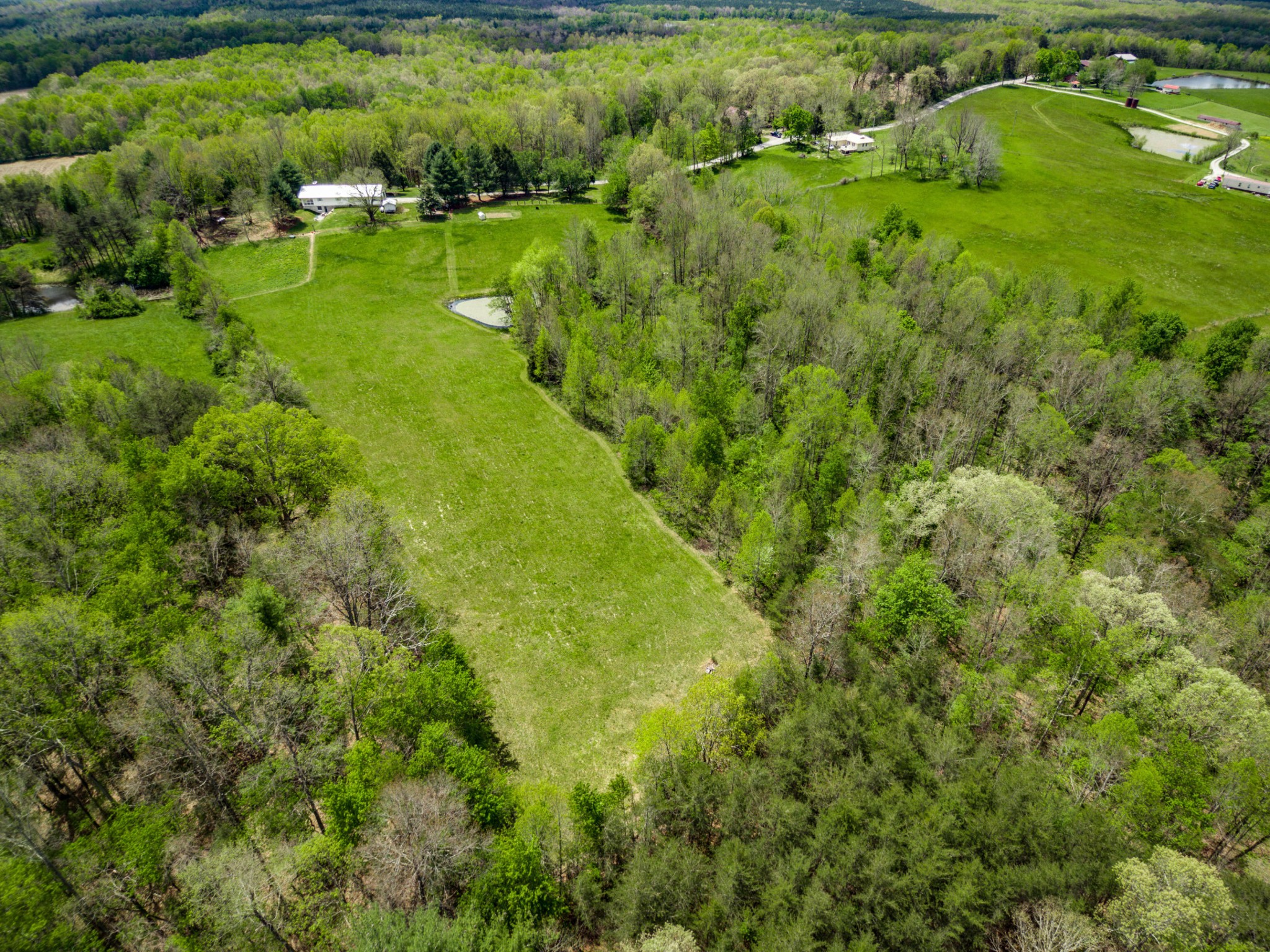 144 Meister Hills Road Deer Lodge, TN 37726 - Photo 35 of 40 a view of a garden with a lake