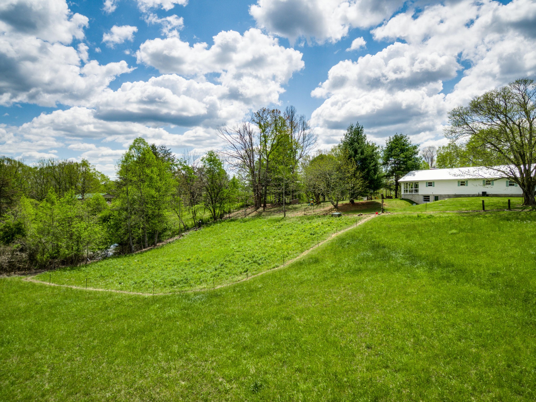 144 Meister Hills Road Deer Lodge, TN 37726 - Photo 36 of 40 a view of grassy field with trees