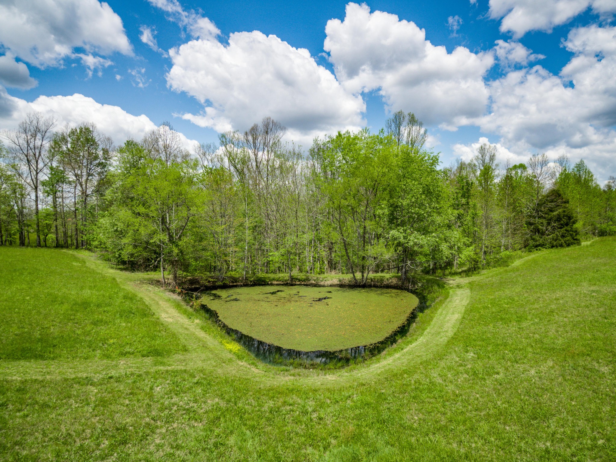 144 Meister Hills Road Deer Lodge, TN 37726 - Photo 37 of 40 a view of a swimming pool with a yard
