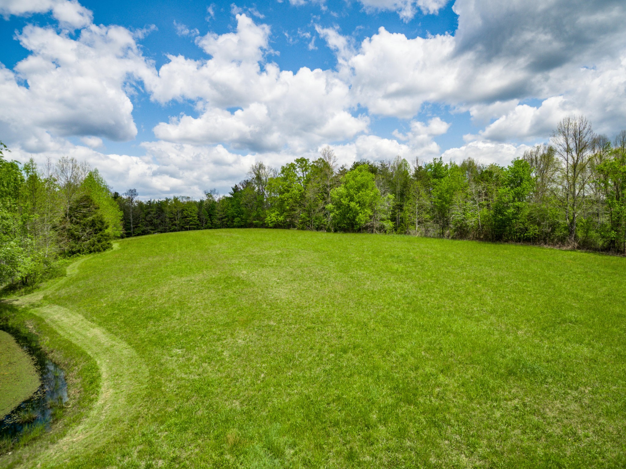 144 Meister Hills Road Deer Lodge, TN 37726 - Photo 38 of 40 a view of a green field with wooden fence