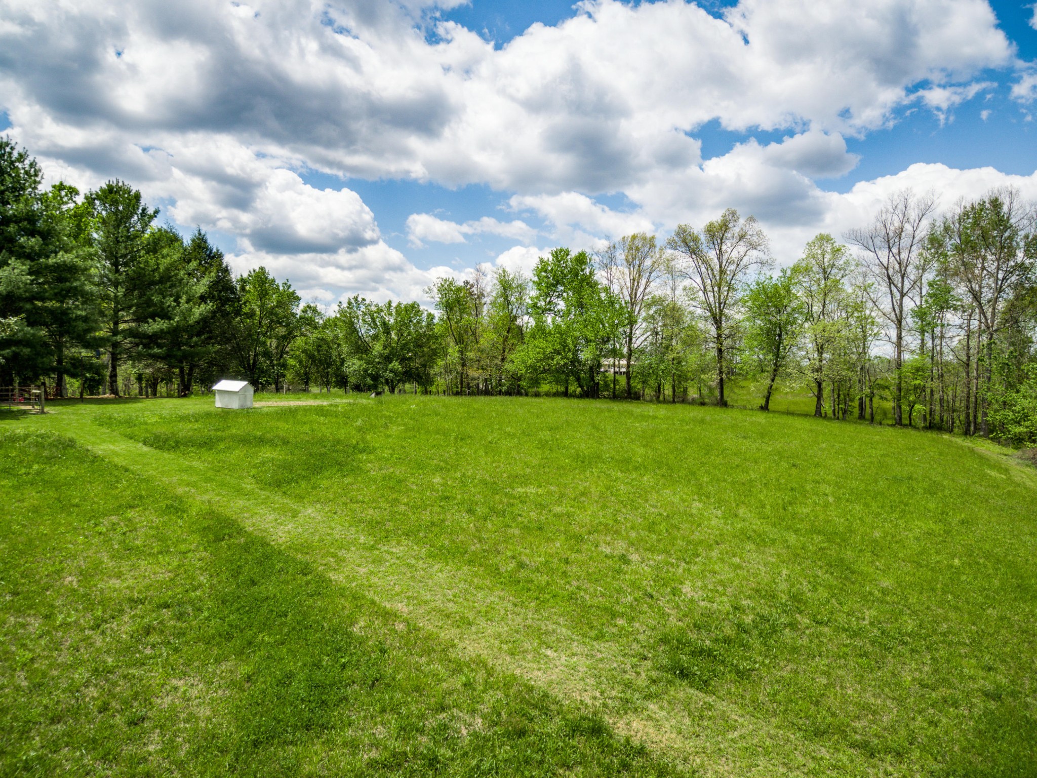 144 Meister Hills Road Deer Lodge, TN 37726 - Photo 39 of 40