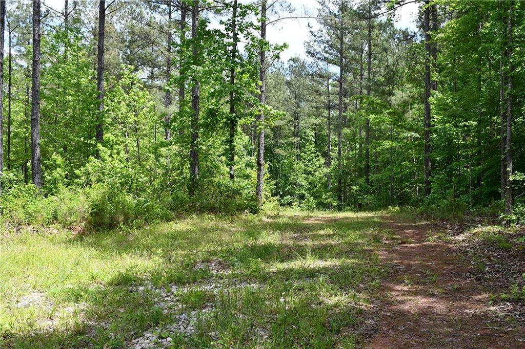 1 Wilson Road Temple, GA 30179 - Photo 53 of 88 a big yard with lots of green space and trees