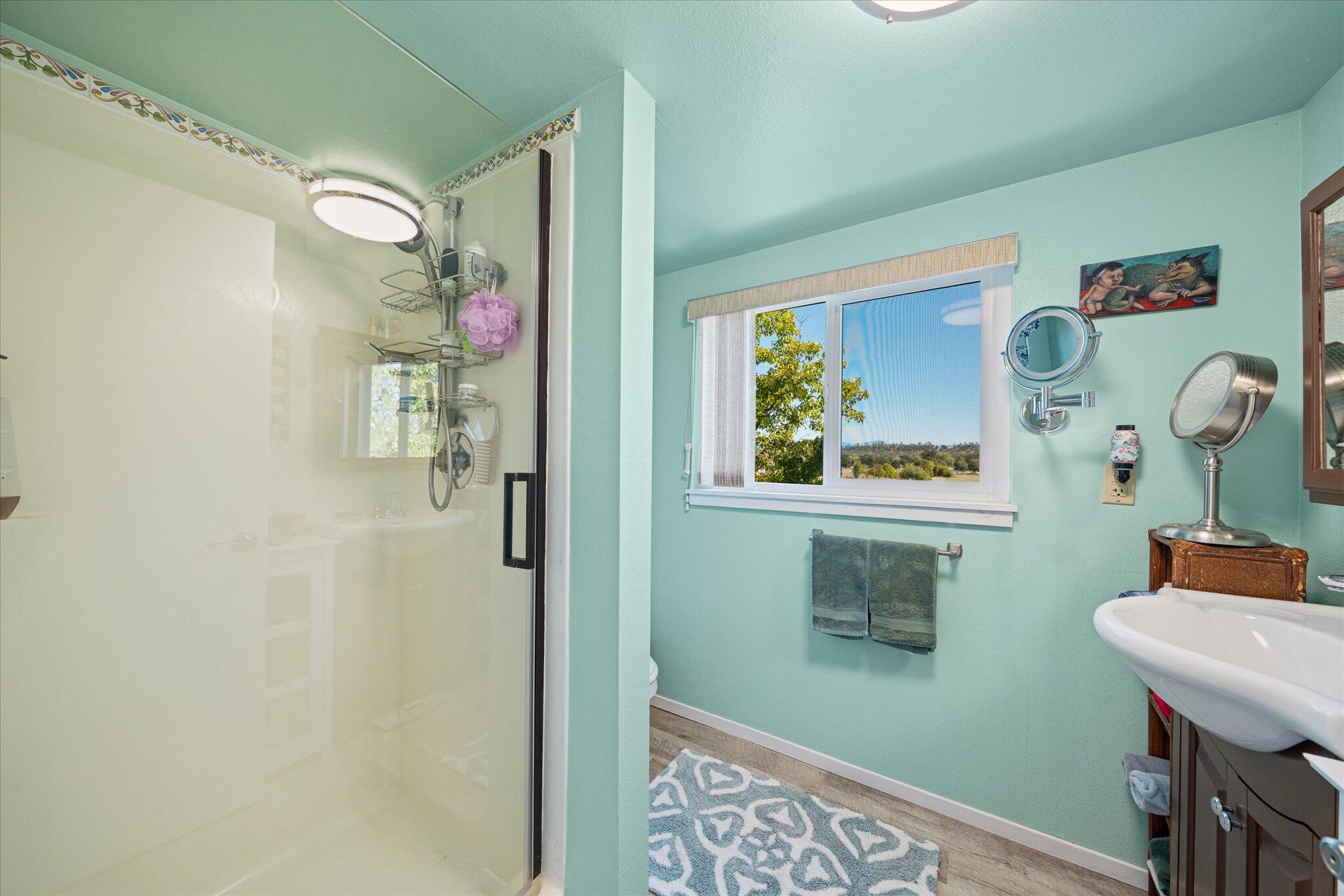 10241 Deschutes Road Palo Cedro, CA 96073 - Photo 25 of 56 a bathroom with a window a sink and a mirror