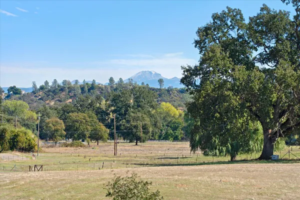 a view of backyard with wooden fence and large trees
