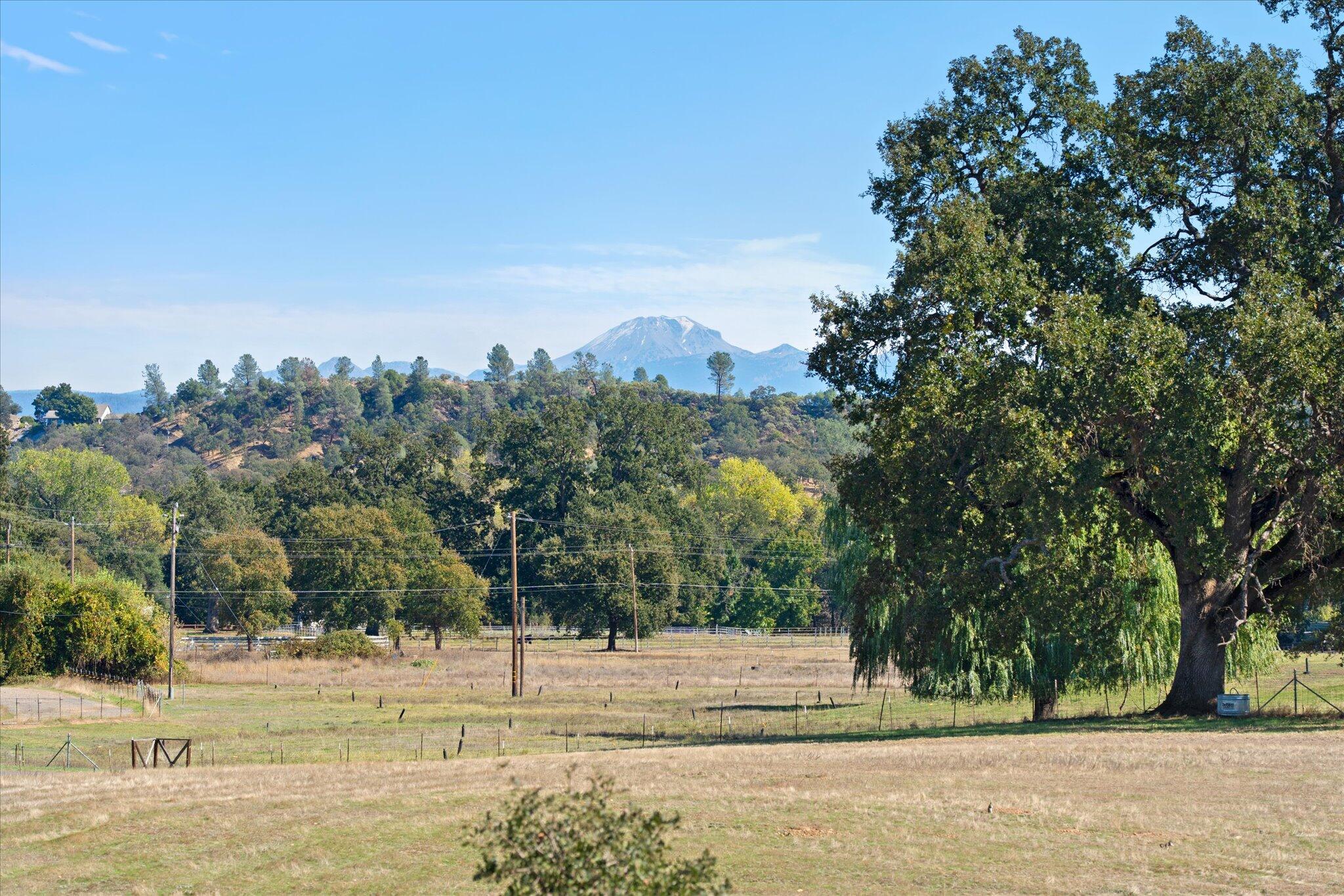 10241 Deschutes Road Palo Cedro, CA 96073 - Photo 3 of 56 a view of a yard