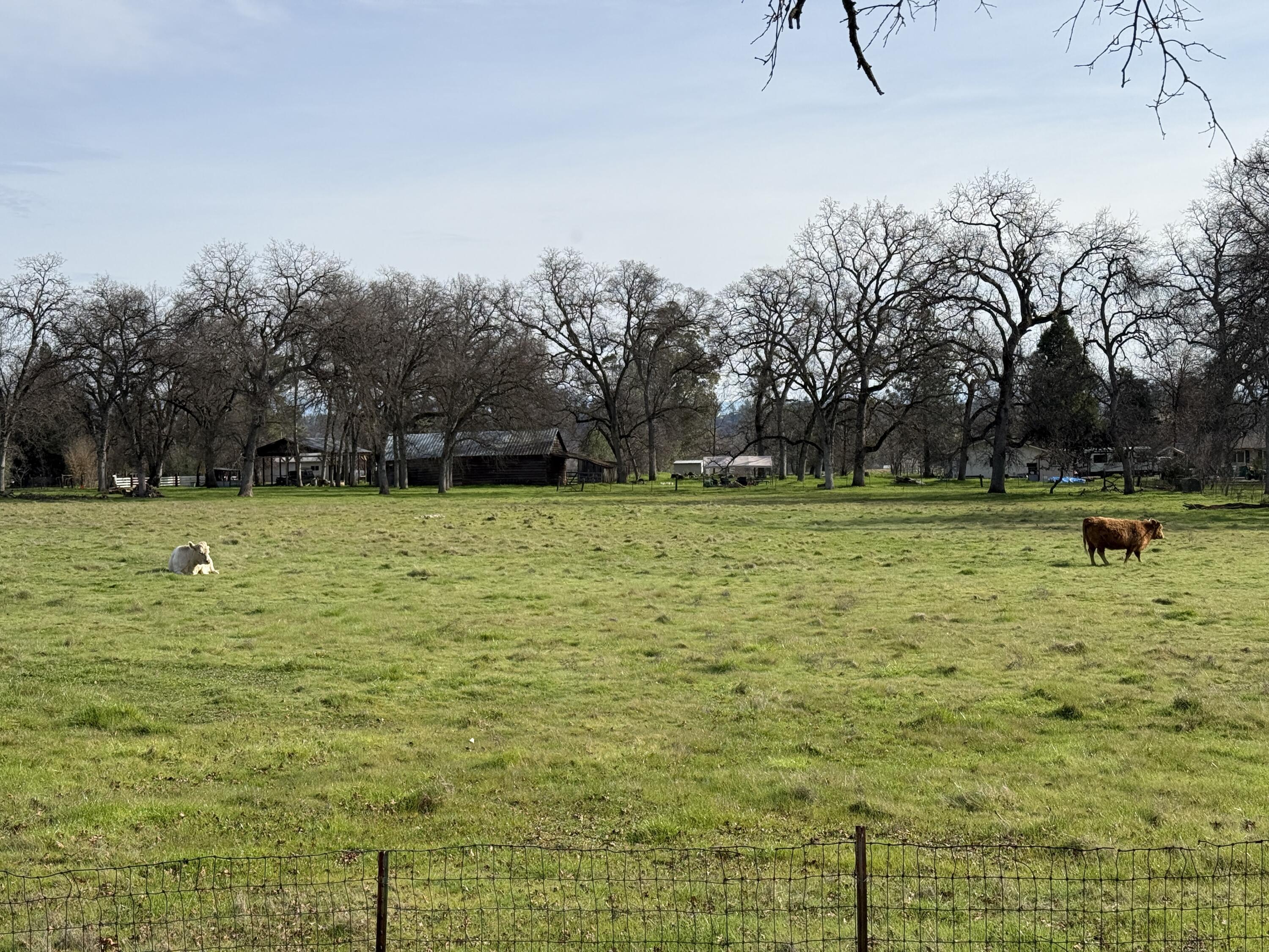 10241 Deschutes Road Palo Cedro, CA 96073 - Photo 33 of 56 10241 Deschutes Rd