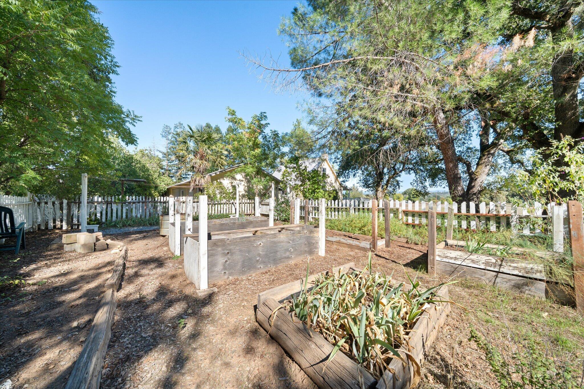 10241 Deschutes Road Palo Cedro, CA 96073 - Photo 41 of 56 a view of a yard with plants and trees