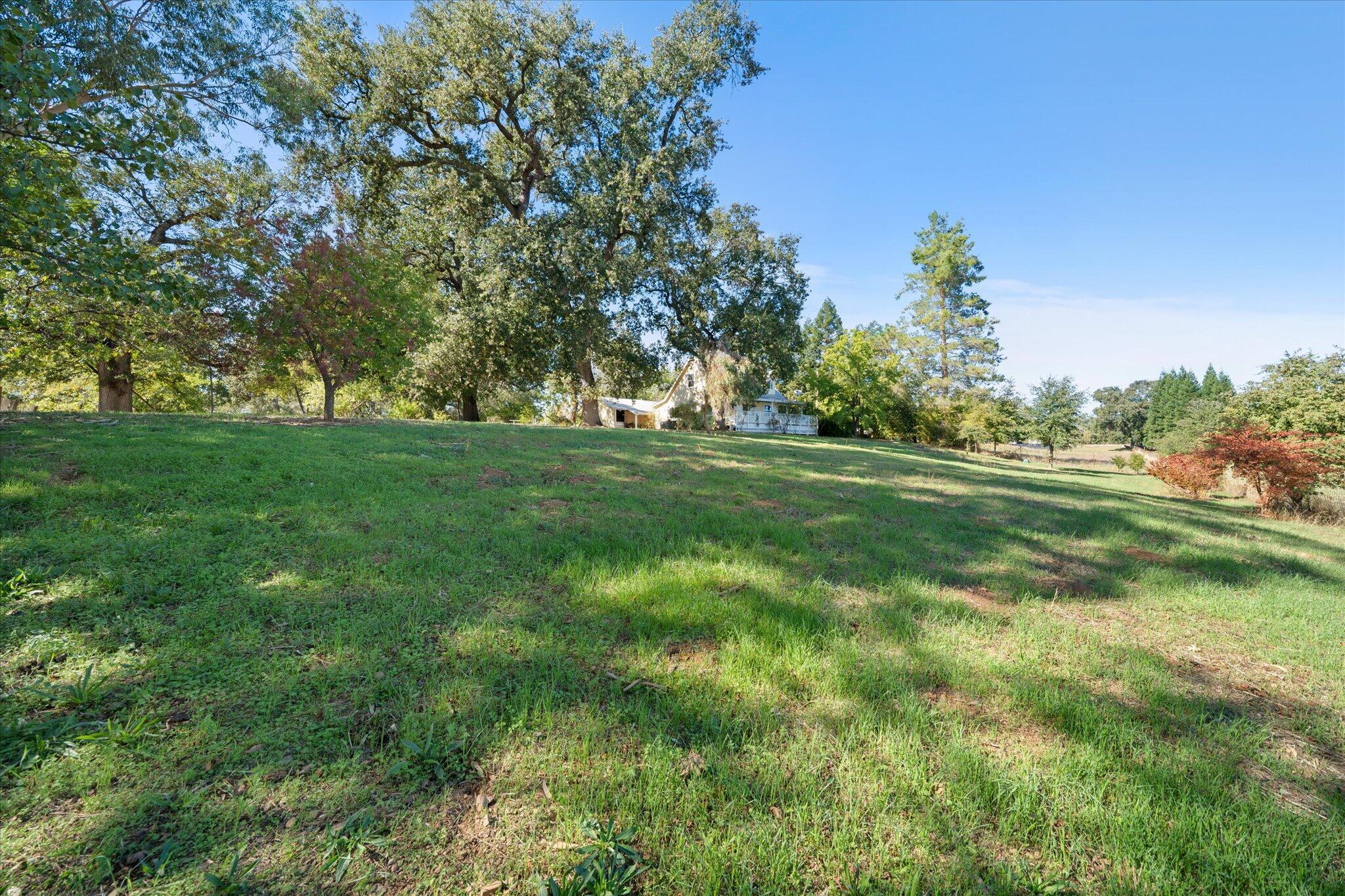 10241 Deschutes Road Palo Cedro, CA 96073 - Photo 42 of 56 a view of a grassy field with trees