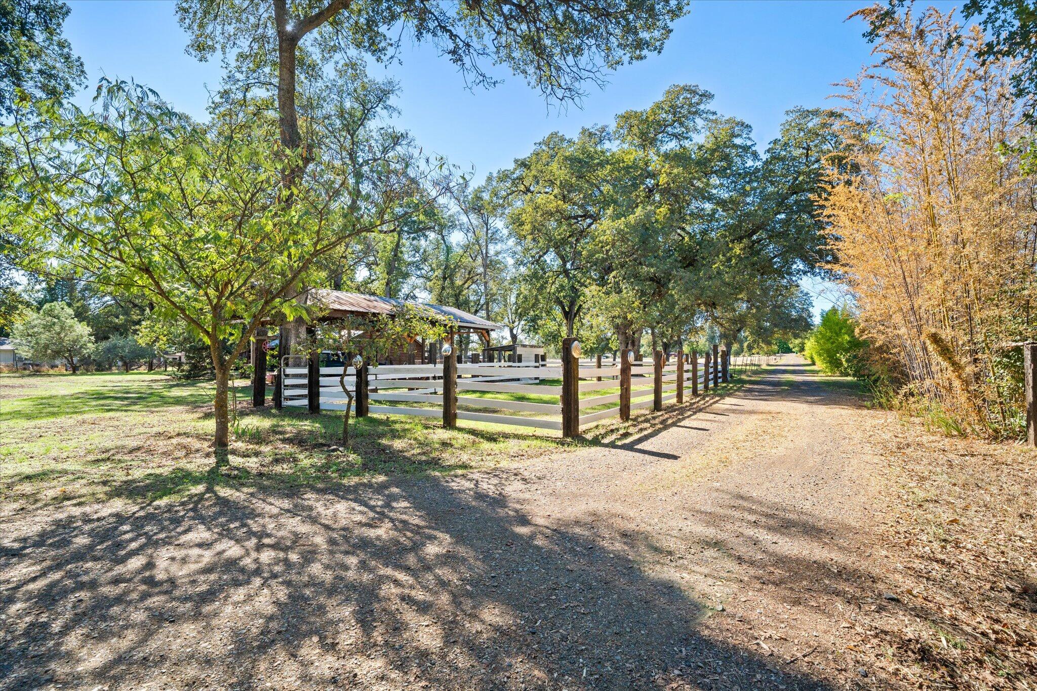 10241 Deschutes Road Palo Cedro, CA 96073 - Photo 44 of 56 a view of a park with large trees