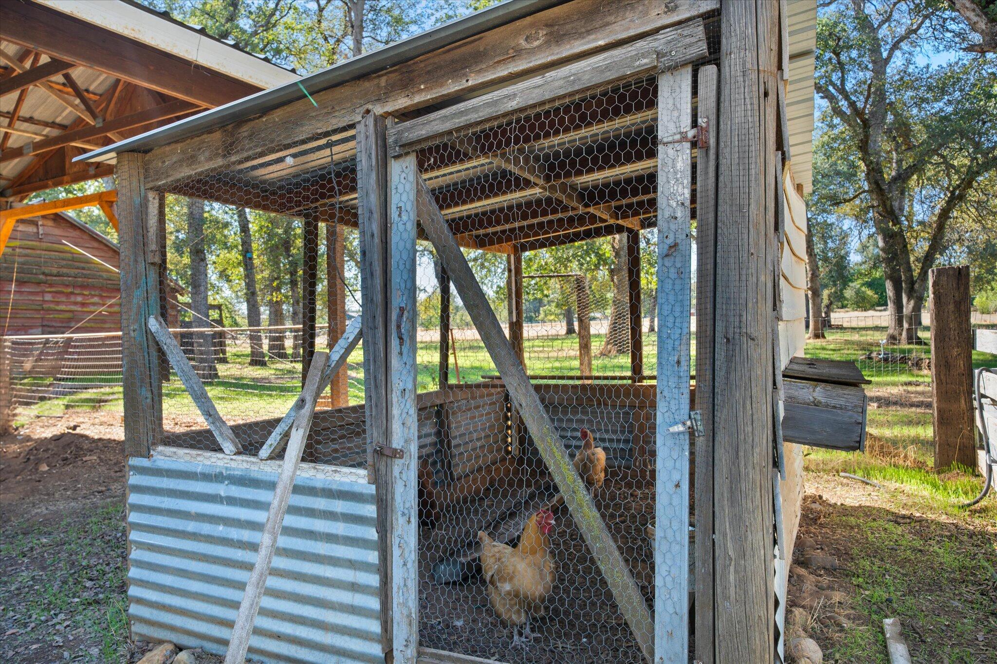 10241 Deschutes Road Palo Cedro, CA 96073 - Photo 46 of 56 Chicken Coop