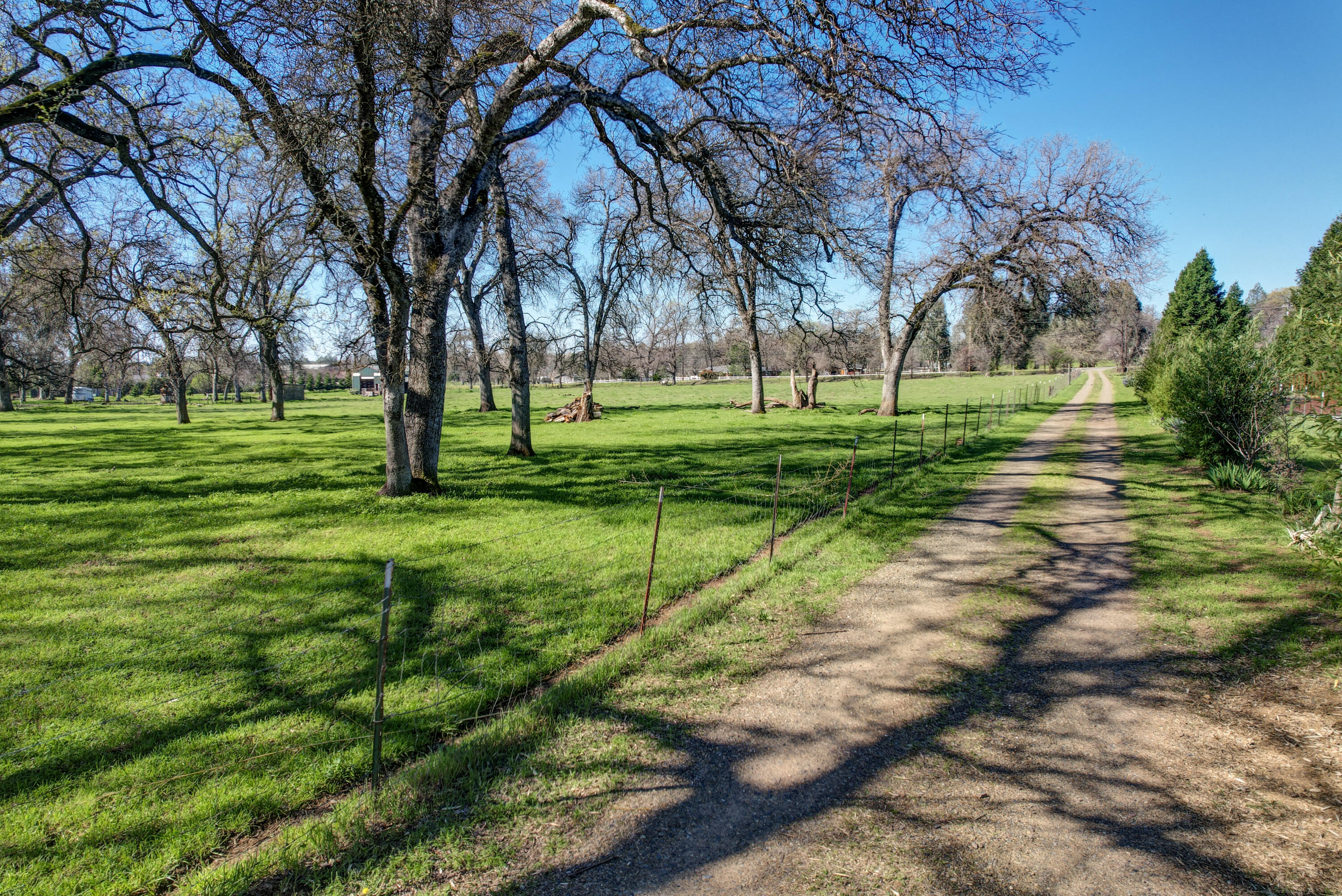 10241 Deschutes Road Palo Cedro, CA 96073 - Photo 56 of 56 a view of a backyard with large trees