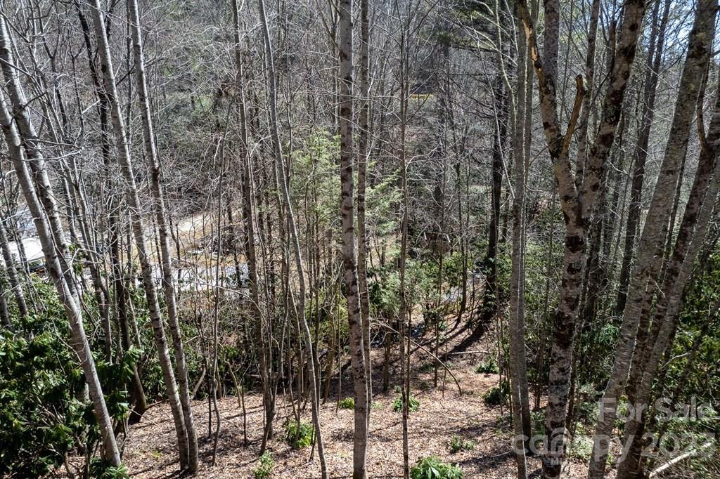 10326 Canada Road Tuckasegee, NC 28783 - Photo 39 of 48 Gallery Image 39