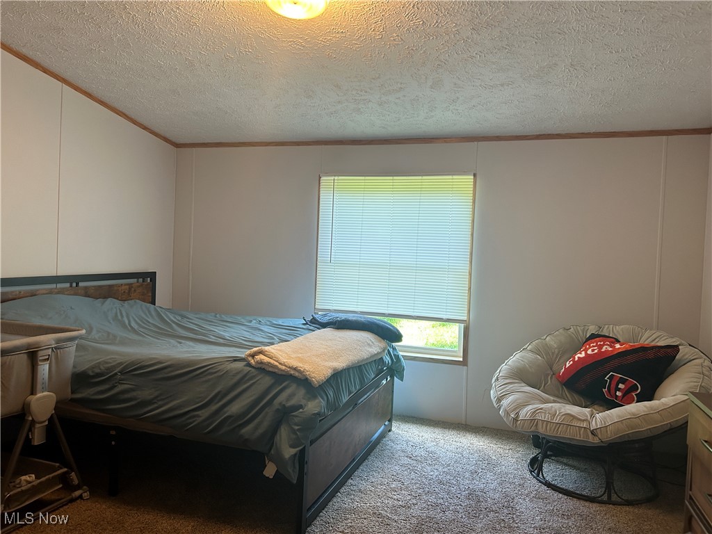 8081 Big Run Road Gambier, OH 43022 - Photo 11 of 28 Carpeted bedroom featuring a textured ceiling