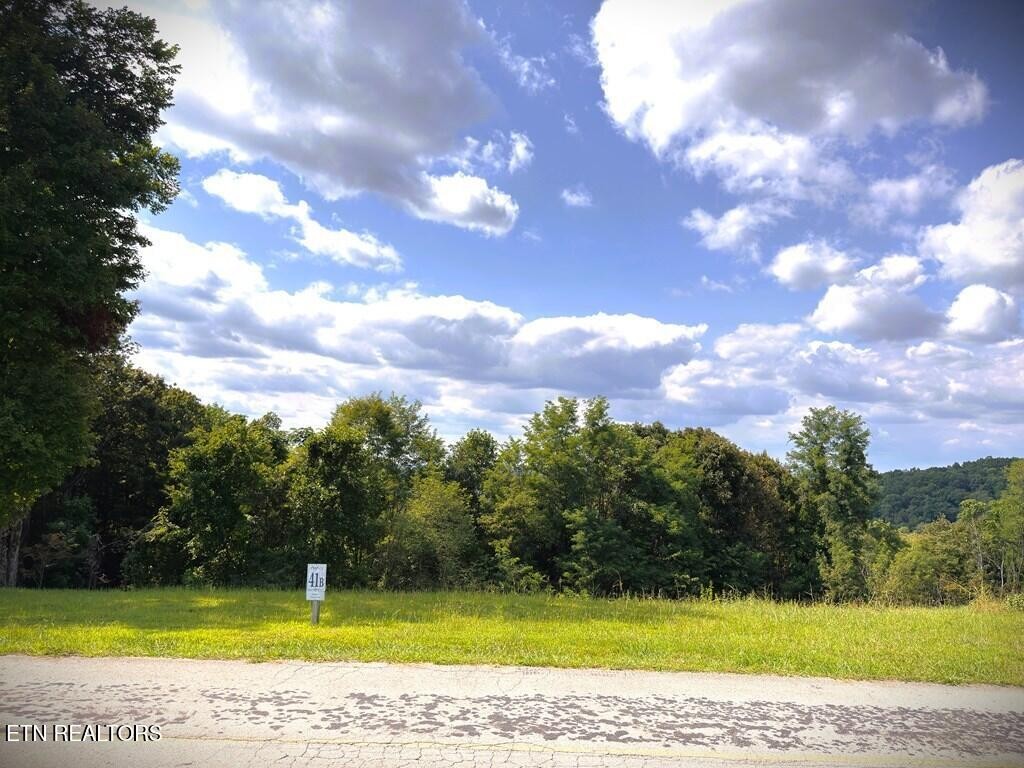 41 Bald Eagle Road Celina, TN 38551 - Photo 15 of 34