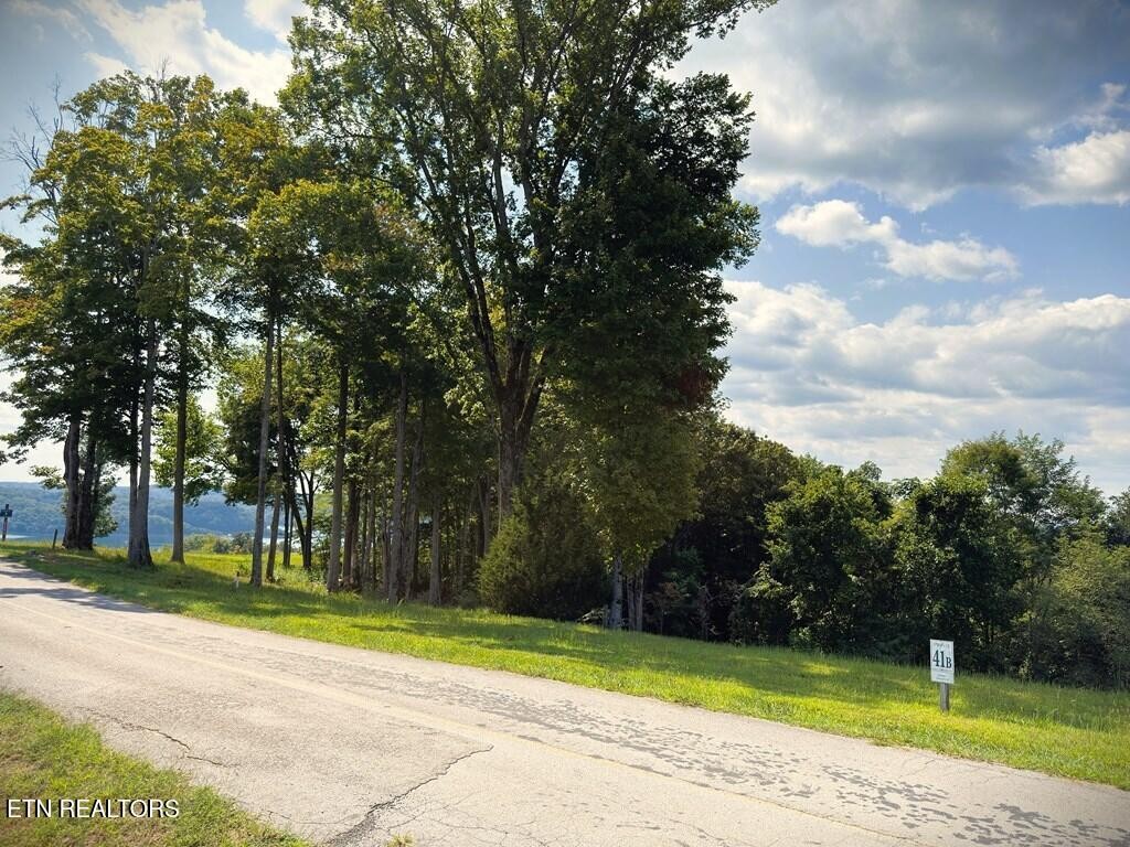 41 Bald Eagle Road Celina, TN 38551 - Photo 16 of 34