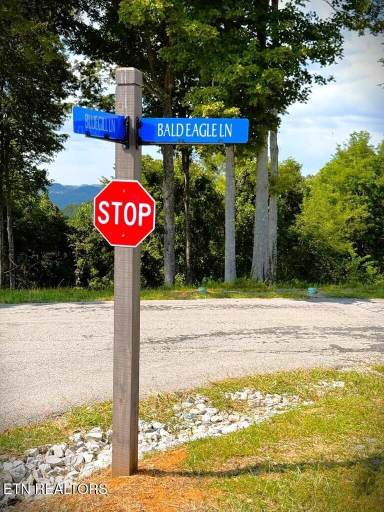 41 Bald Eagle Road Celina, TN 38551 - Photo 18 of 34