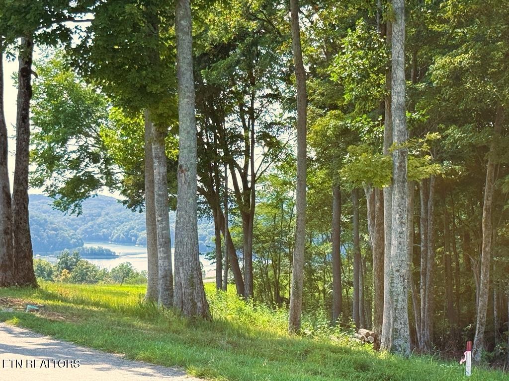 41 Bald Eagle Road Celina, TN 38551 - Photo 2 of 34