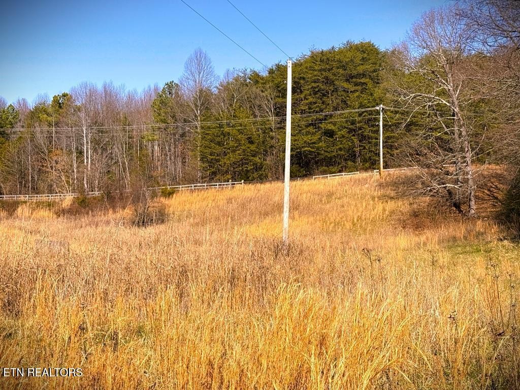 41 Bald Eagle Road Celina, TN 38551 - Photo 34 of 34