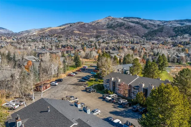 an aerial view of residential houses with outdoor space and trees