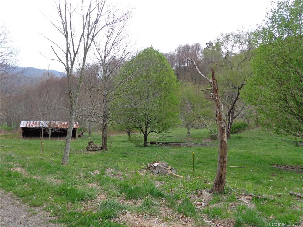 285 McCracken Farm Road Clyde, NC 28721 - Photo 3 of 24