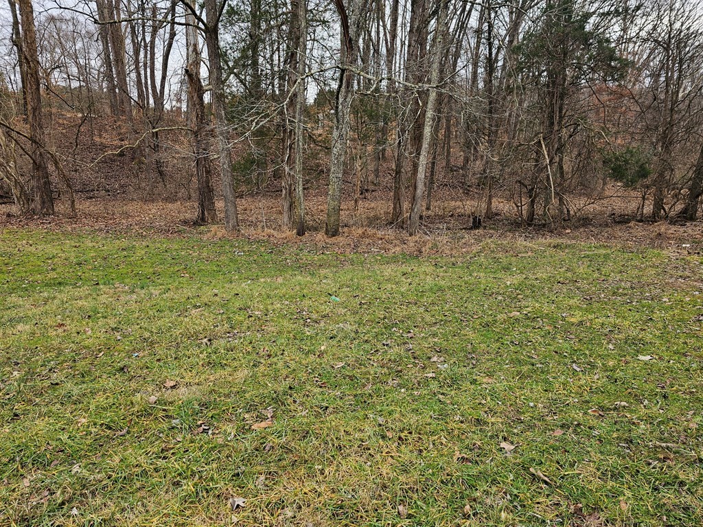 1007 Spring Creek Road Dandridge, TN 37725 - Photo 8 of 11