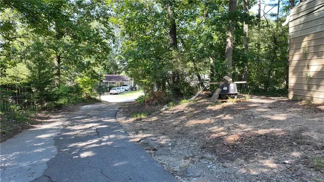 a view of a forest with trees in the background