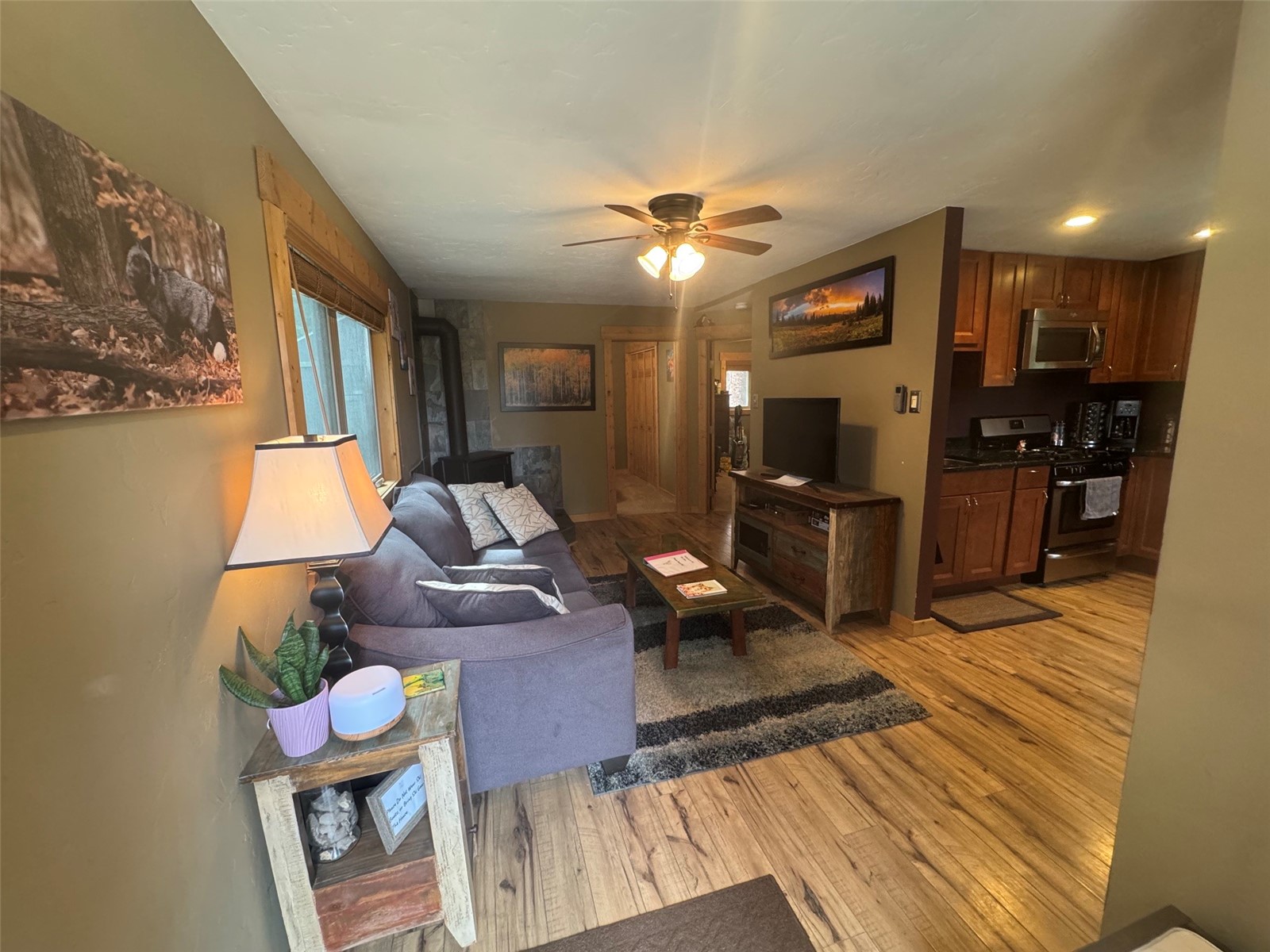 219 Ansley Road Alma, CO 80420 - Photo 4 of 18