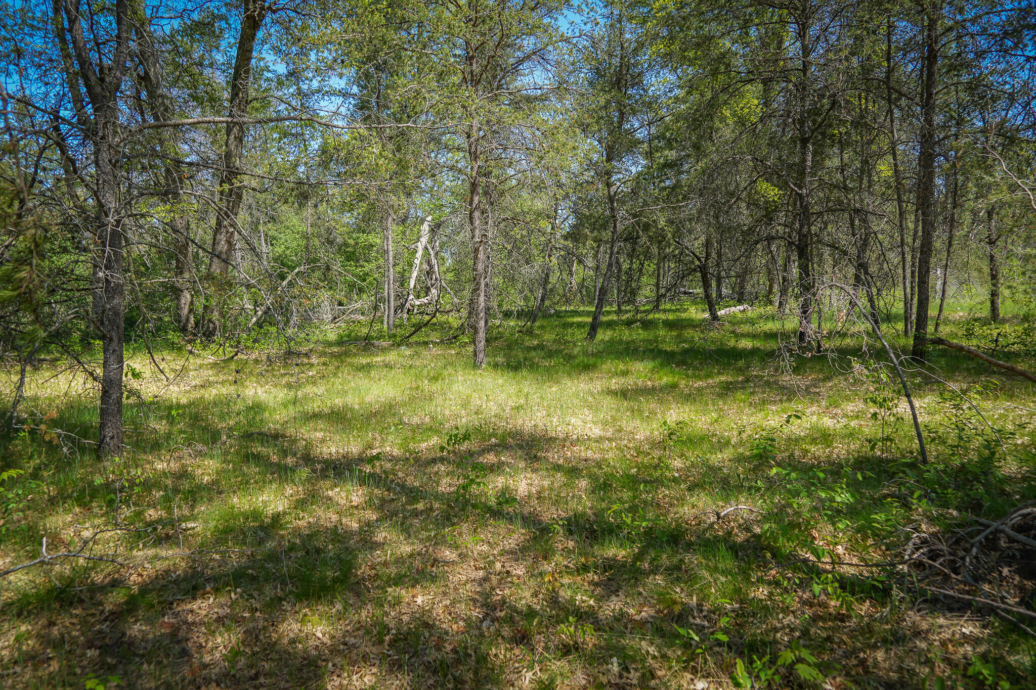 4364 West 4 Mile Road Irons, MI 49644 - Photo 29 of 39 4364 W 4 Mile Rd. Pic 29