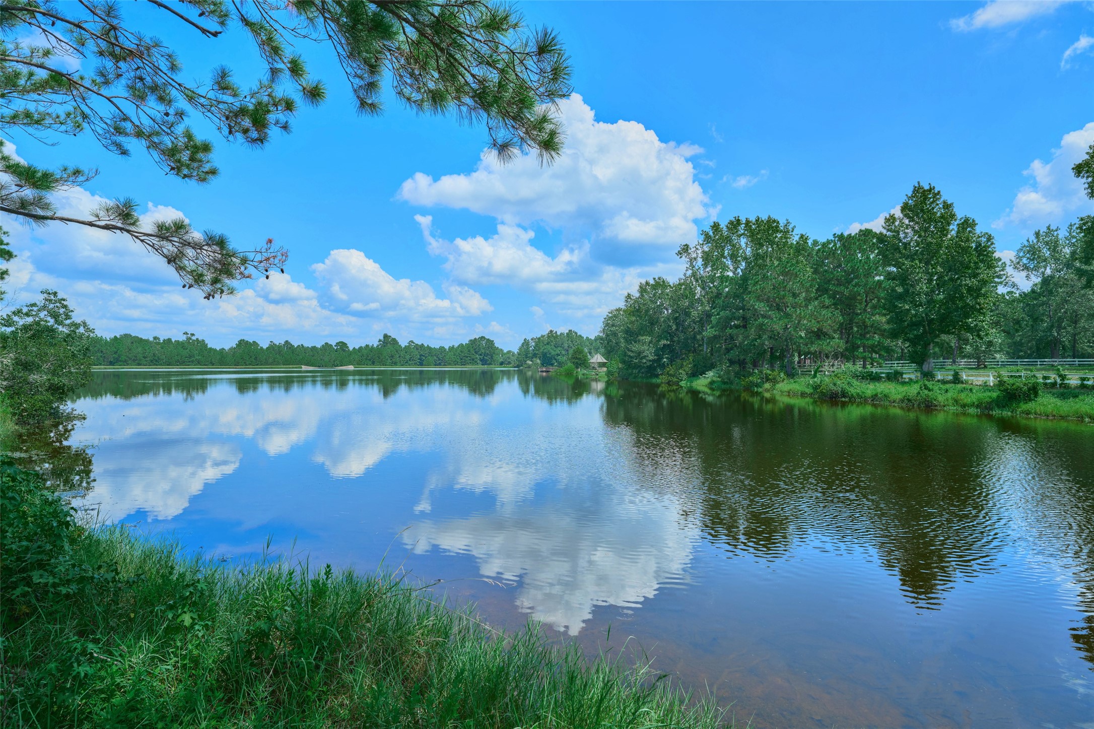 2218 Honea Egypt Road Magnolia, TX 77354 - Photo 3 of 50 Direct lake access for your fishing and kayaking adventures.