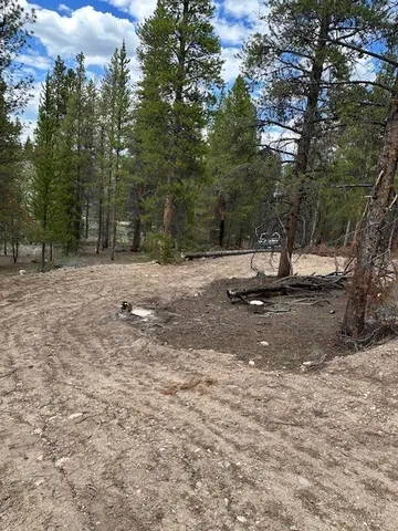 $69,500 | 123 Lodgepole Drive, Leadville, CO 80461