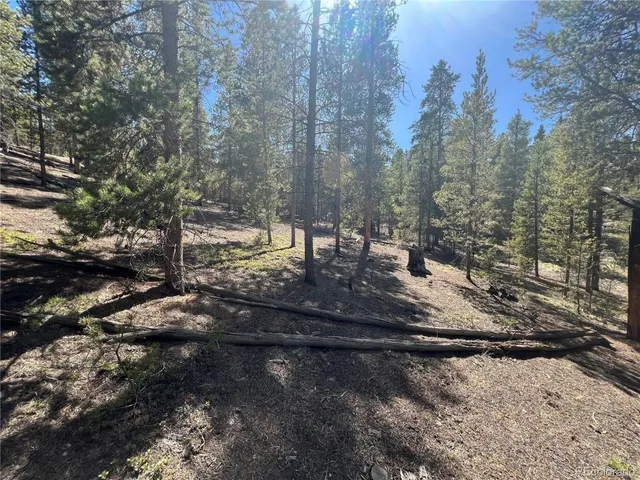 $69,500 | 123 Lodgepole Drive, Leadville, CO 80461
