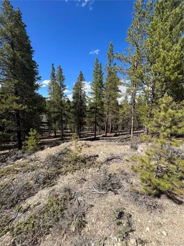 $69,500 | 123 Lodgepole Drive, Leadville, CO 80461
