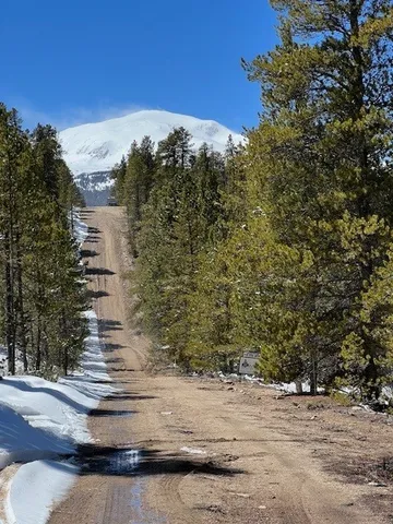 $69,500 | 123 Lodgepole Drive, Leadville, CO 80461