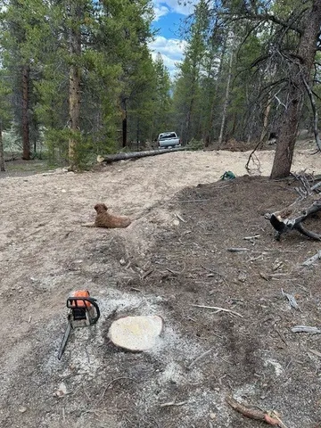 $69,500 | 123 Lodgepole Drive, Leadville, CO 80461