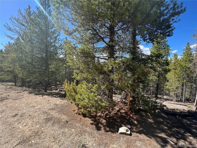 $69,500 | 123 Lodgepole Drive, Leadville, CO 80461